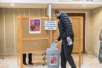 Na Trutnovsku dali lidé v 1. kole prezidentských voleb nejvíce hlasů Petru Pavlovi.