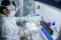 Mikrobiologická laboratoř v trutnovské nemocnici zpracovává vzorky na covid-19.
