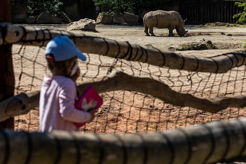 Safari Park zoo Dvůr Králové nad Labem vítá návštěvníky.