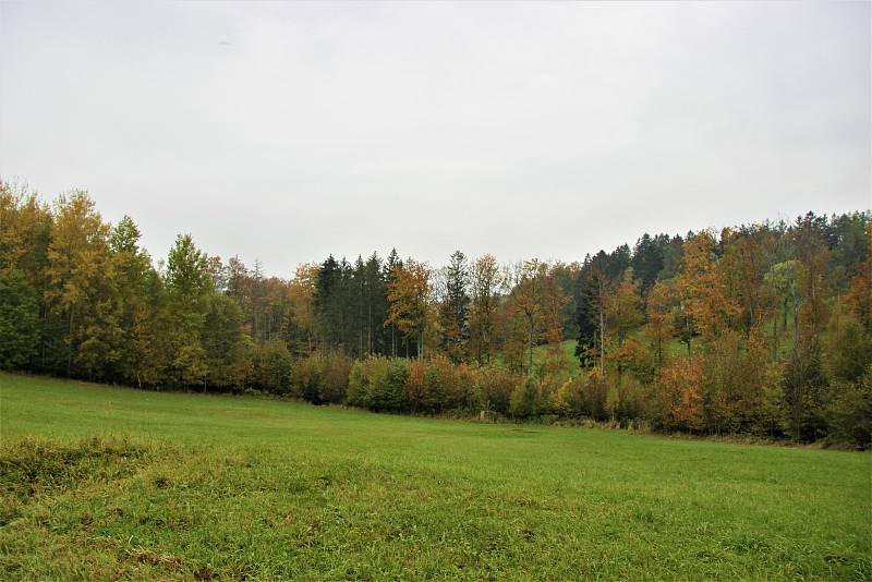 Lesy nad Rtyní v Podkrkonoší.