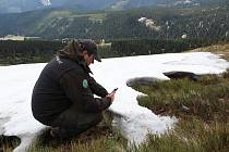 Jižní svah Studniční hory je místem, kde se drží v Krkonoších nejdéle sníh. V roce 2005 tam sníh odtál dokonce až 22. srpna.