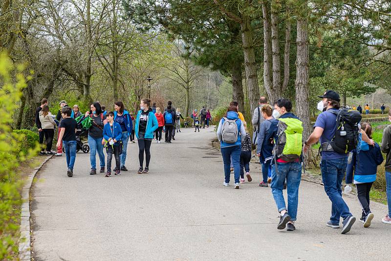 V sobotu dorazilo do Safari Parku Dvůr Králové 3374 lidí.