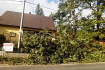 Po větrné smršti v Libňatově