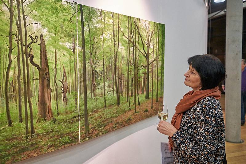 Galerie Uffo představuje Zelené obrazy.