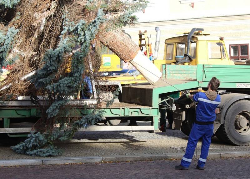Vánoční strom přivezli na Palackého náměstí v Kutné Hoře ve čtvrtek 23. listopadu.