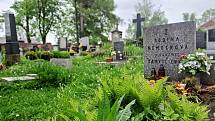 Jaro na hřbitově v Opatovicích u Zbýšova.