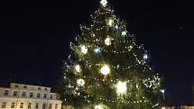 Rozsvícení vánočního stromu v Čáslavi.