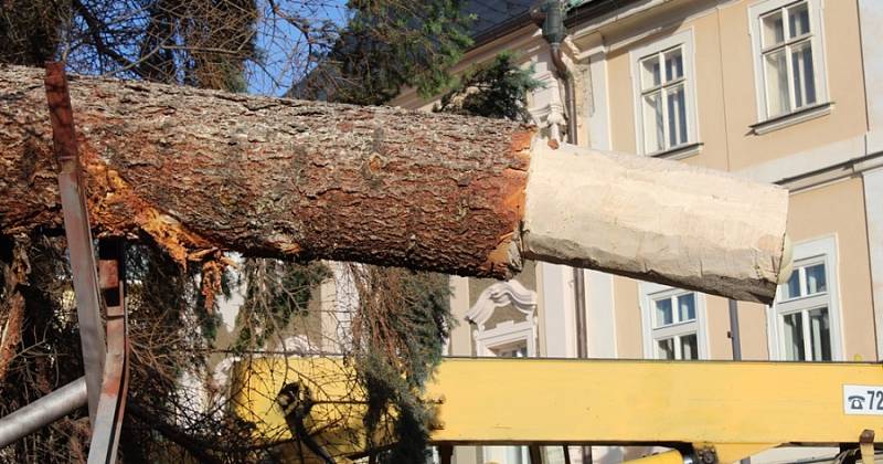 Vánoční strom přivezli na Palackého náměstí v Kutné Hoře ve čtvrtek 23. listopadu.