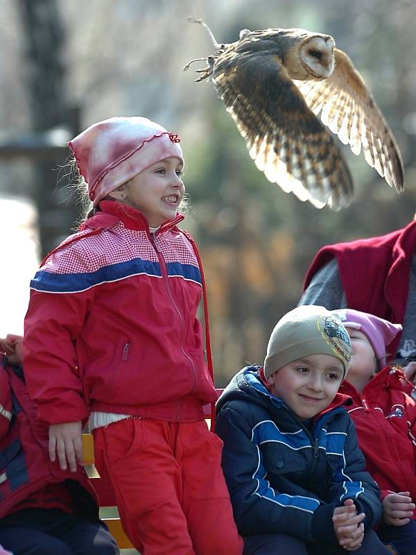 Ukázka dravců děti v MŠ Benešova 149 nadchla.