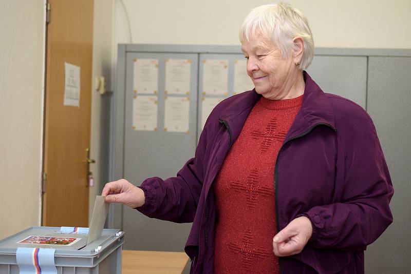 Prezidentské volby 2018 ve Slavošově.