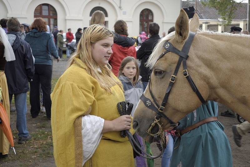 Poprava Jana Roháče z Dubé. 