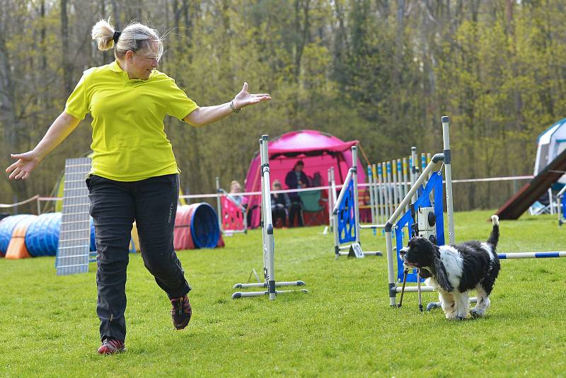 Agility závody 'O kutnohorský groš' na cvičáku v Kutné Hoře.