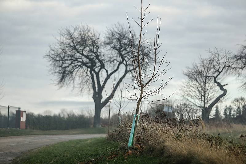 Fotokvíz: Poznáte obec na Kutnohorsku?