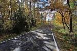 Popadanými stromy a větvemi zneprůjezdněná silnice II/335 před Žandovem na Kutnohorsku.