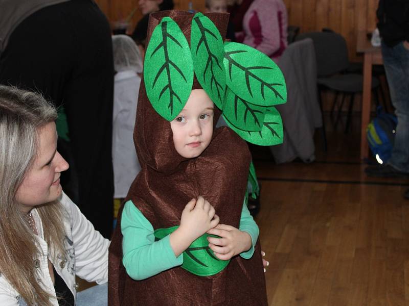 Karneval v Kutné Hoře, 11.února 