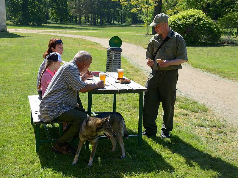 Tradiční oblastní výstava psů všech plemen se konala v zámeckém parku na Kačině.