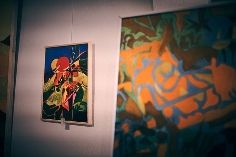 Ve čtvrtek 18. srpna výtvarník Andrej Neméth zahájil ve Spolkovém domě svoji výstavu.