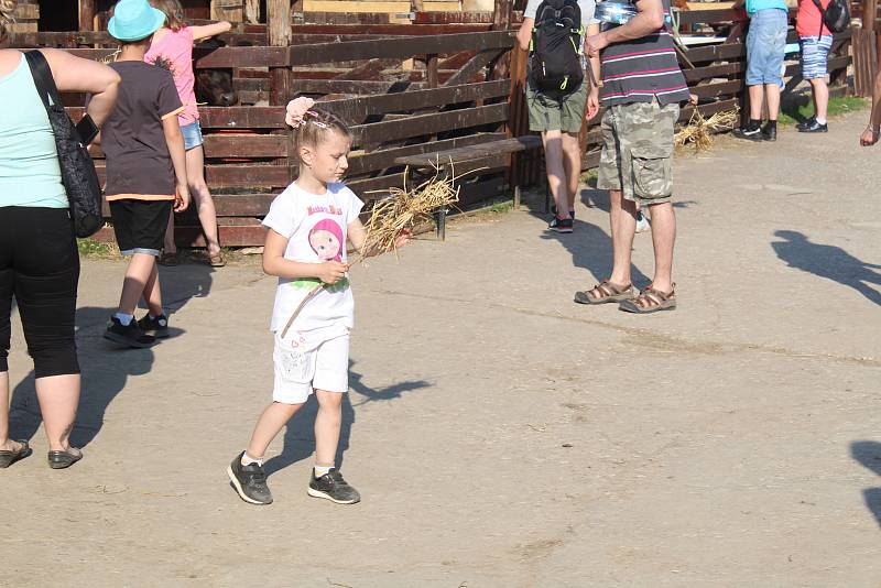 Čarodějnice nanečisto na statku sdružení pro hipoterapii Dítě a kůň v Miskovicích