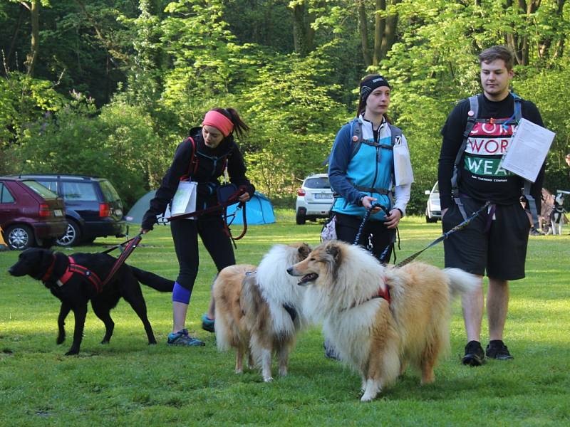 Dogtrekkingový závod Okolo Kutné Hory, 5.ročník