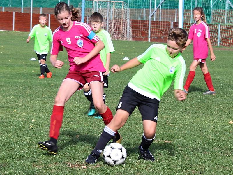 Fotbalový mistrovský turnaj starších přípravek v Suchdole: FK Čáslav D - TJ Slavoj Vrdy 4:3.