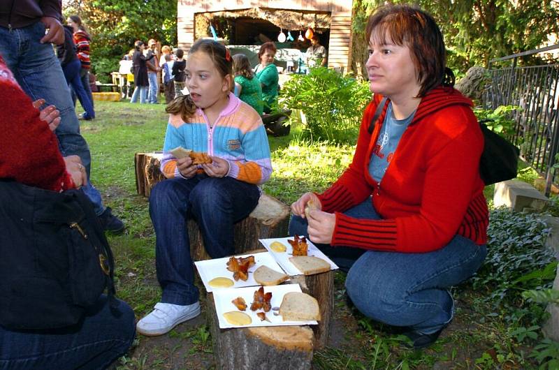 Součástí Muzejní noci bylo v Čáslavi i  sčítání dvojčat