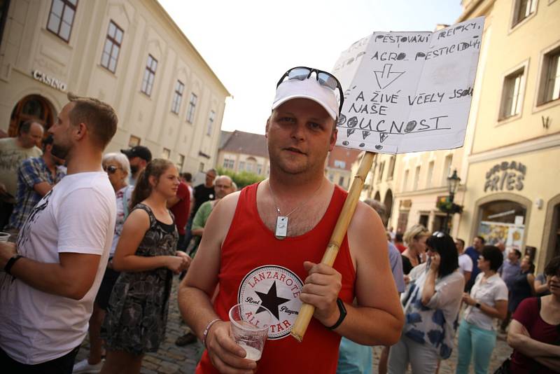 Lidé demonstrují v Kutné Hoře u morového sloupu.