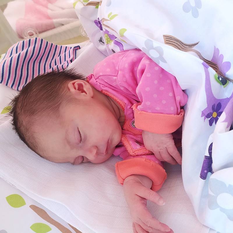 Anežka Dvořáková se narodila 25. dubna 2022 v 8.27 hodin v Čáslavi. Po narození vážila 3380 gramů a měřila 50 centimetrů . Doma ve Výčapech ji přivítali maminka Veronika, tatínek Jan a tříletý bráška Jonášek.