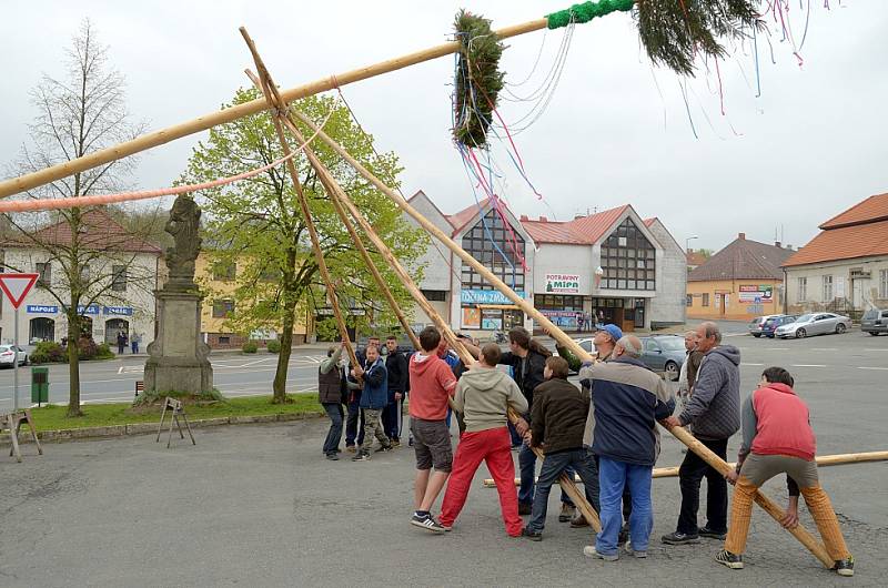 Zbraslavice mají máj.