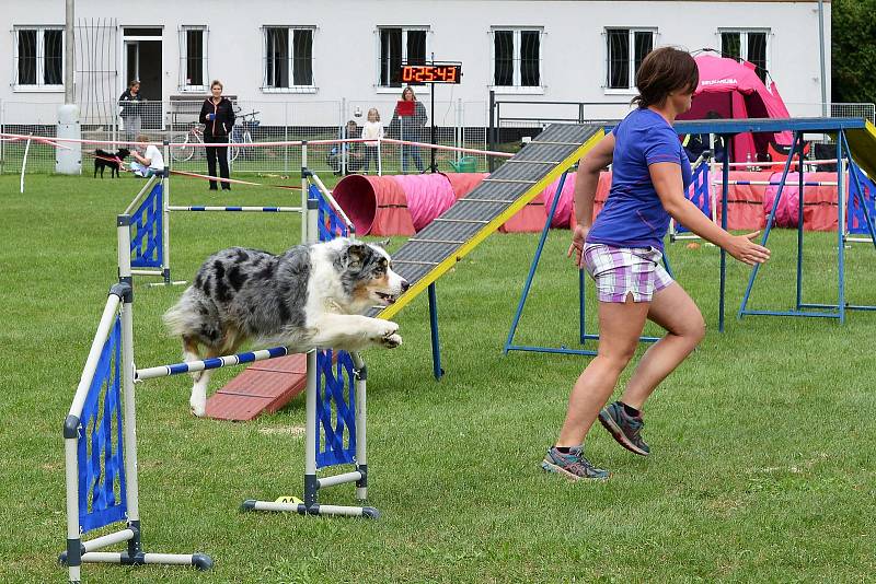 Agility zkoušky se konaly v Kutné Hoře.