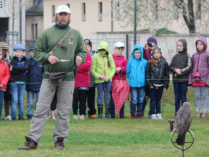 Dravci přilétli do zahrad Gasku