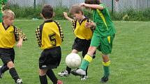 Minižákovský turnaj Goldbeck Cup 2008, Paběnice 12. července 2008