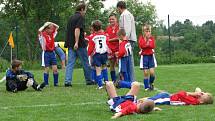 Minižákovský turnaj Goldbeck Cup 2008, Paběnice 12. července 2008