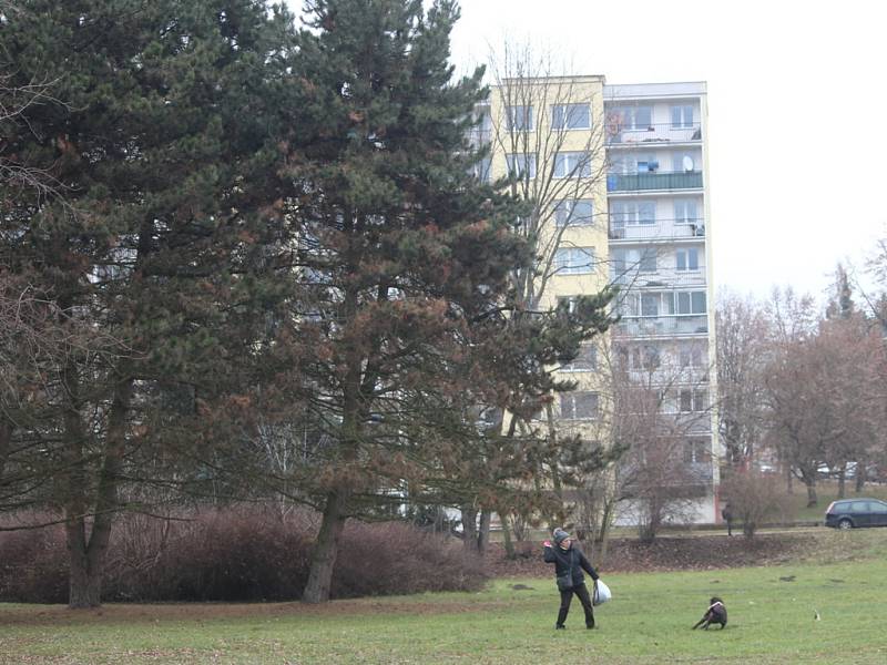 Čáslav získala dotaci na revitalizaci zeleně