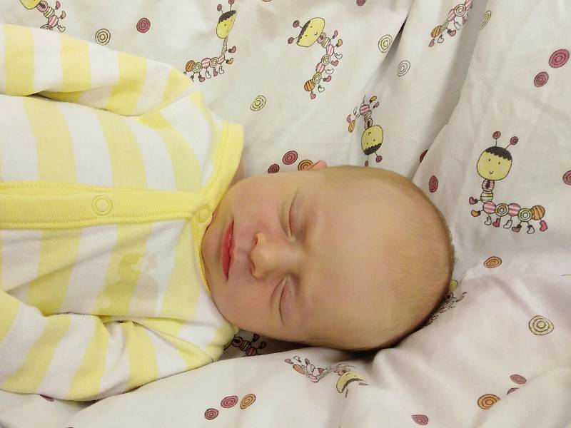 Šárka Brázdilová se poprvé na svět podívala 5. listopadu 2020 v 8. 55 hodin v čáslavské porodnici. Vážila 3340 gramů a měřila 50 centimetrů. Doma v Církvici ji přivítali maminka Simona a tatínek Jan.