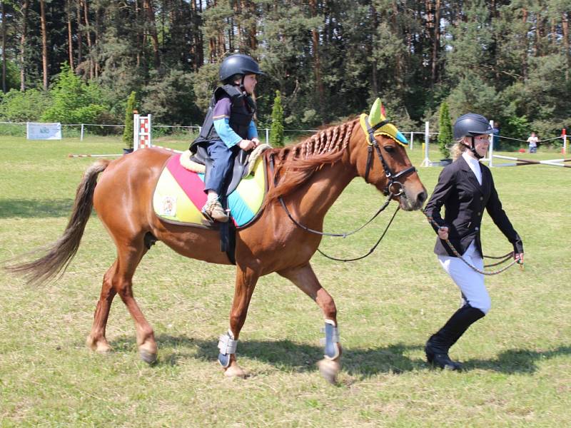 Jezdecké hobby závody v Žehušicích