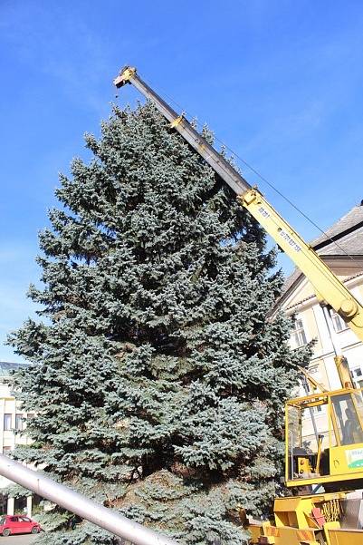 Vánoční strom přivezli na Palackého náměstí v Kutné Hoře ve čtvrtek 23. listopadu.