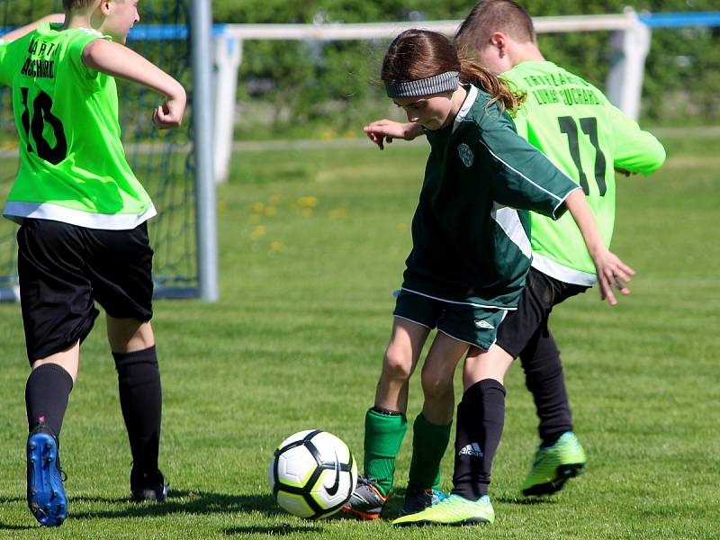 Fotbalový mistrovský turnaj starších přípravek ve Vrdech: FK Čáslav – TJ Slavoj Vrdy 11:2.