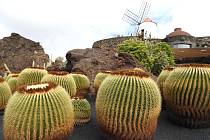 Kaktusová zahrada Jardin de Cactus de Lanzarote.