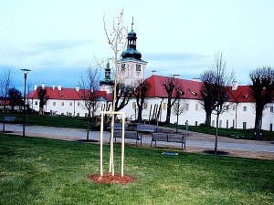 V zahradách Galerie Středočeského kraje v centru Kutné Hory.