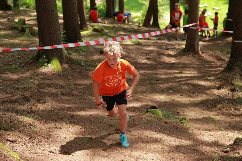 Tradiční sportovní tábor SKP Olympia Kutná Hora pro děti z našeho města a okolí.