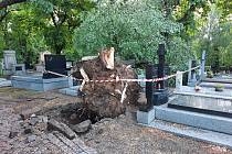 Škody způsobené bouřkou na kutnohorských hřbitovech.