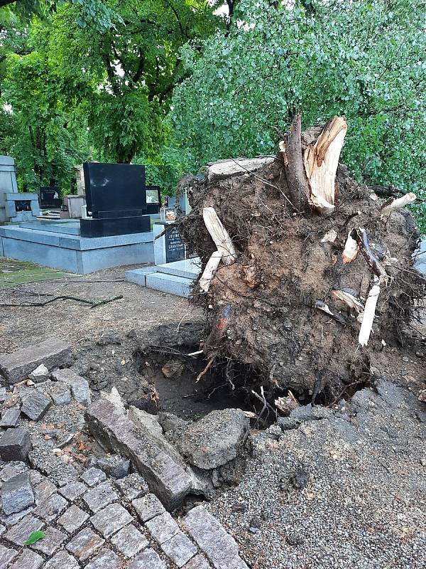Následky bouřky v noci na čtvrtek 24. června na hřbitově Všech svatých v Kutné Hoře.