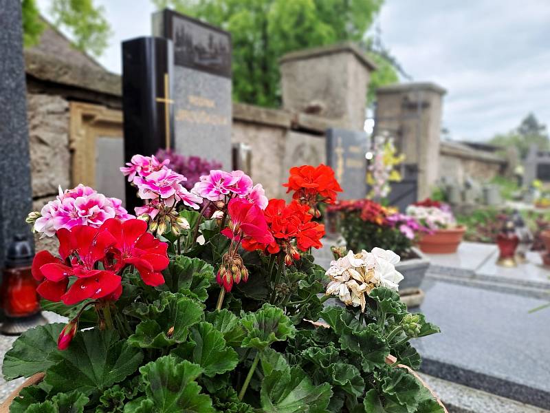 Jaro na hřbitově ve Zbýšově.