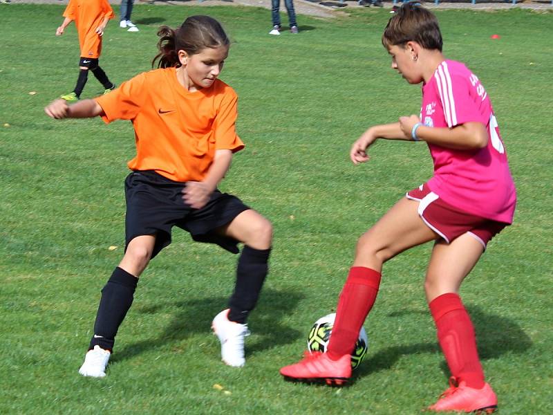 Fotbalový mistrovský turnaj starších přípravek v Suchdole: FK Čáslav D - TJ Sokol Družba Suchdol 10:3.