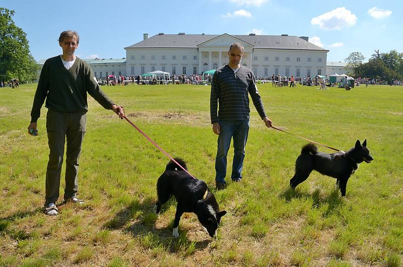 Tradiční oblastní výstava psů všech plemen se konala v zámeckém parku na Kačině.