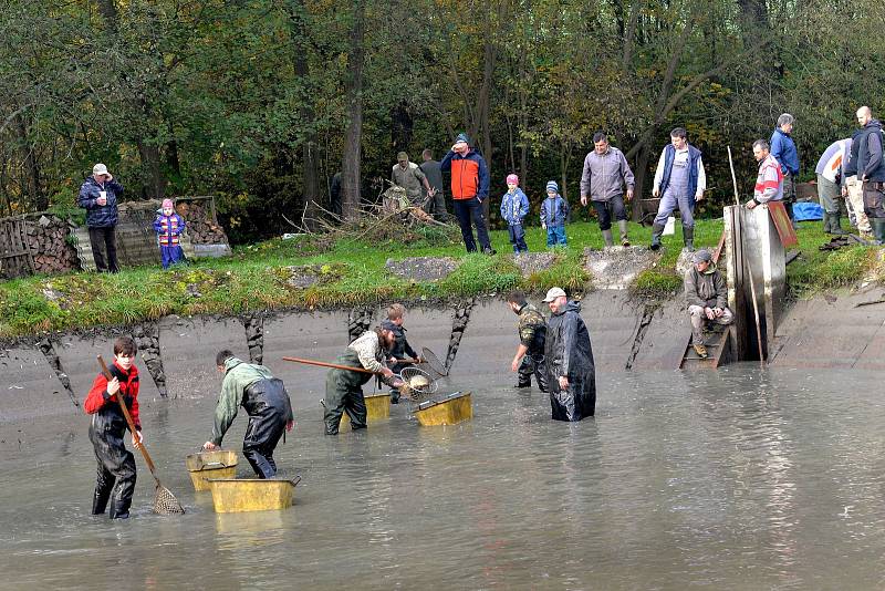 Do podzimních výlovů rybníků se zapojil i Kácov.