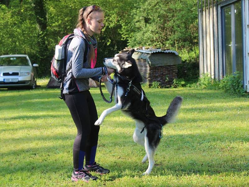 Dogtrekkingový závod Okolo Kutné Hory, 5.ročník