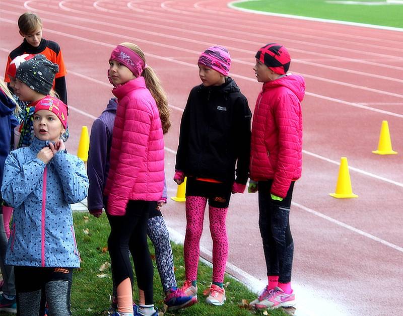 Atleti SKP Olympia Kutná Hora běželi stokilometrovou štafetu.