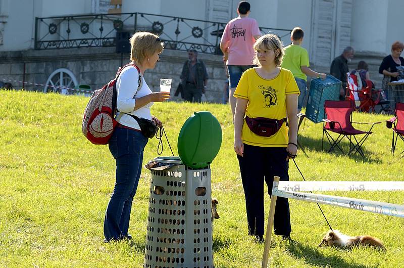 Tradiční oblastní výstava psů všech plemen se konala v zámeckém parku na Kačině.