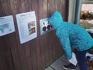 Ze soutěže 'Cesta kolem světa' na zahradě Domu dětí a mládeže v Kutné Hoře.